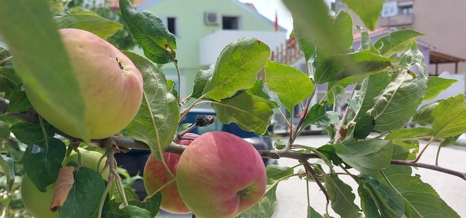 Apartment Ema & Sea Apartment'S With Free Private Parking Pula